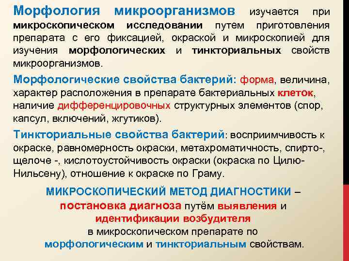 Морфология микроорганизмов изучается при микроскопическом исследовании путем приготовления препарата с его фиксацией, окраской и