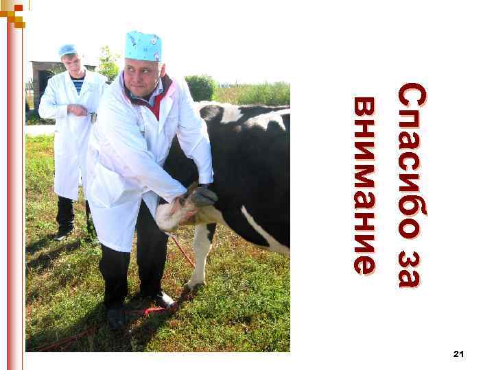 С па с и б о з а в ни м а ни е