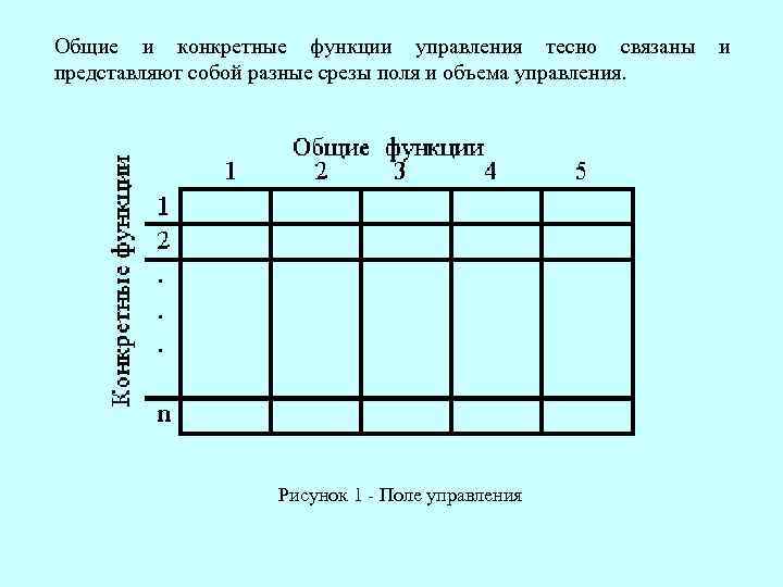 Общие и конкретные функции управления тесно связаны и представляют собой разные срезы поля и