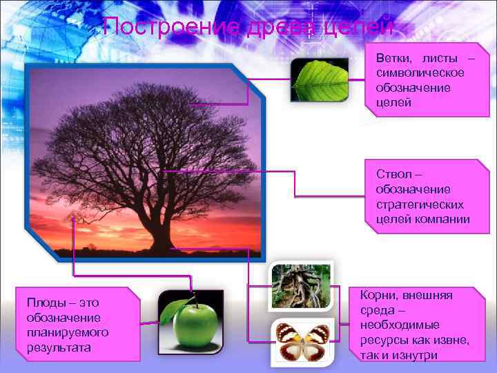 Построение древа целей Ветки, листы – символическое обозначение целей Ствол – обозначение стратегических целей