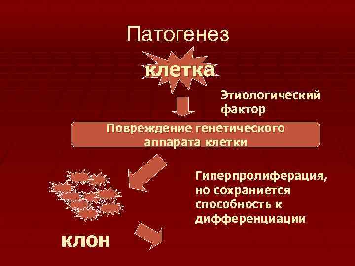 Патогенез клетка Этиологический фактор Повреждение генетического аппарата клетки Гиперпролиферация, но сохраниется способность к дифференциации