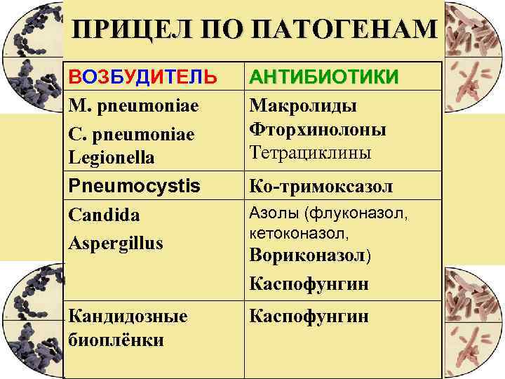 ПРИЦЕЛ ПО ПАТОГЕНАМ ВОЗБУДИТЕЛЬ АНТИБИОТИКИ M. pneumoniae Макролиды C. pneumoniae Фторхинолоны Legionella Тетрациклины Pneumocystis