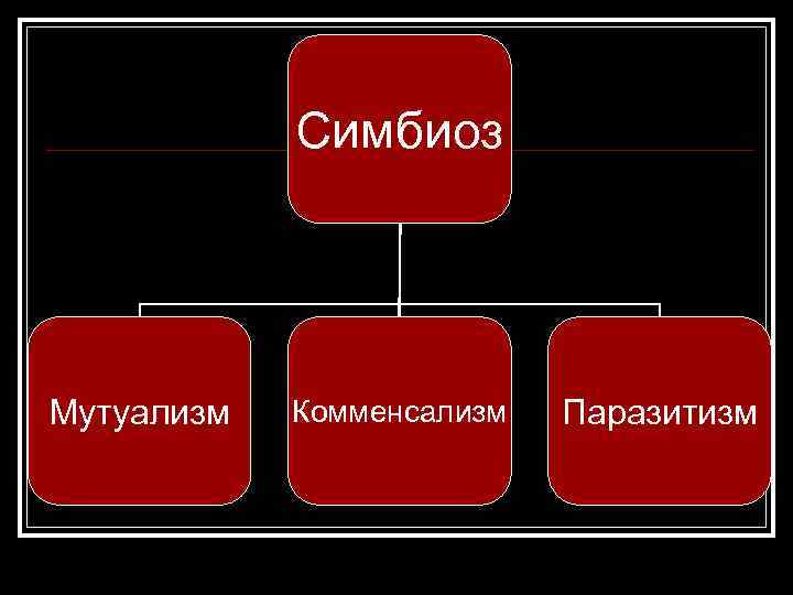Симбиоз Мутуализм Комменсализм Паразитизм 