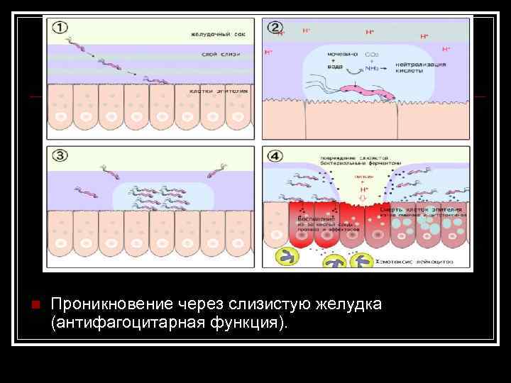 Проект заражение дождь