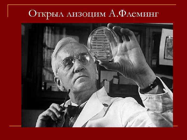Открыл лизоцим А. Флеминг 