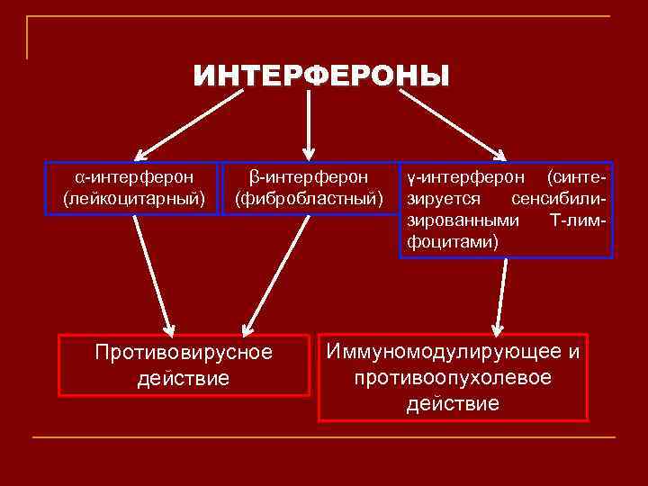 ИНТЕРФЕРОНЫ α-интерферон (лейкоцитарный) β-интерферон (фибробластный) Противовирусное действие γ-интерферон (синтезируется сенсибилизированными Т-лимфоцитами) Иммуномодулирующее и противоопухолевое