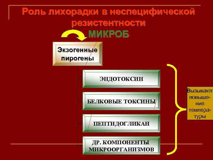Роль лихорадки в неспецифической резистентности МИКРОБ Экзогенные пирогены ЭНДОТОКСИН БЕЛКОВЫЕ ТОКСИНЫ ПЕПТИДОГЛИКАН ДР. КОМПОНЕНТЫ