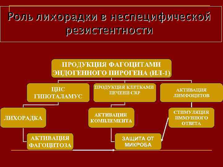 ПРОДУКЦИЯ ФАГОЦИТАМИ ЭНДОГЕННОГО ПИРОГЕНА (ИЛ-1) ЦНС ГИПОТАЛАМУС ЛИХОРАДКА АКТИВАЦИЯ ФАГОЦИТОЗА ПРОДУКЦИЯ КЛЕТКАМИ ПЕЧЕНИ CRP