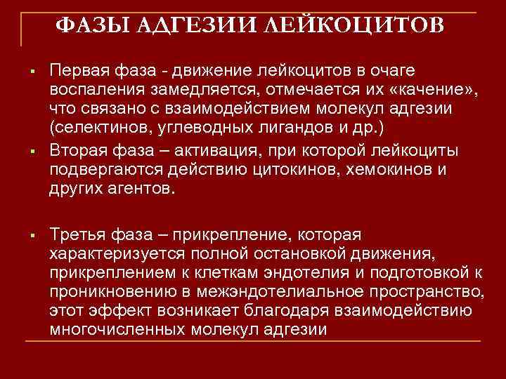ФАЗЫ АДГЕЗИИ ЛЕЙКОЦИТОВ Первая фаза - движение лейкоцитов в очаге воспаления замедляется, отмечается их