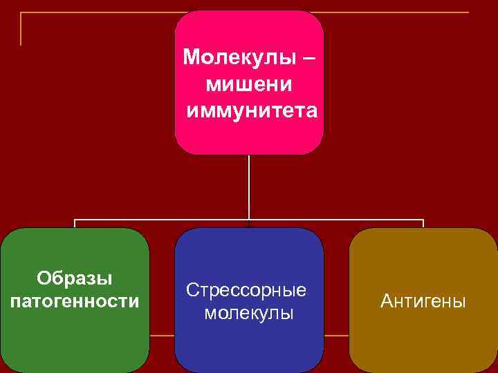 Молекулы – мишени иммунитета Образы патогенности Стрессорные молекулы Антигены 