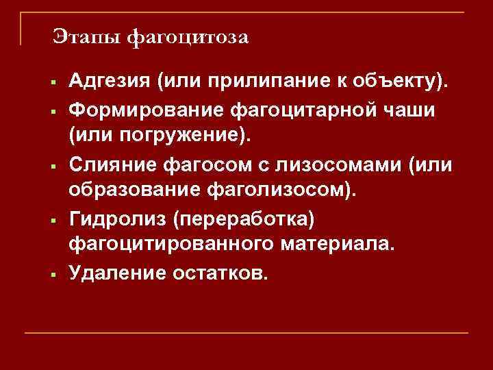 Этапы фагоцитоза Адгезия (или прилипание к объекту). Формирование фагоцитарной чаши (или погружение). Слияние фагосом