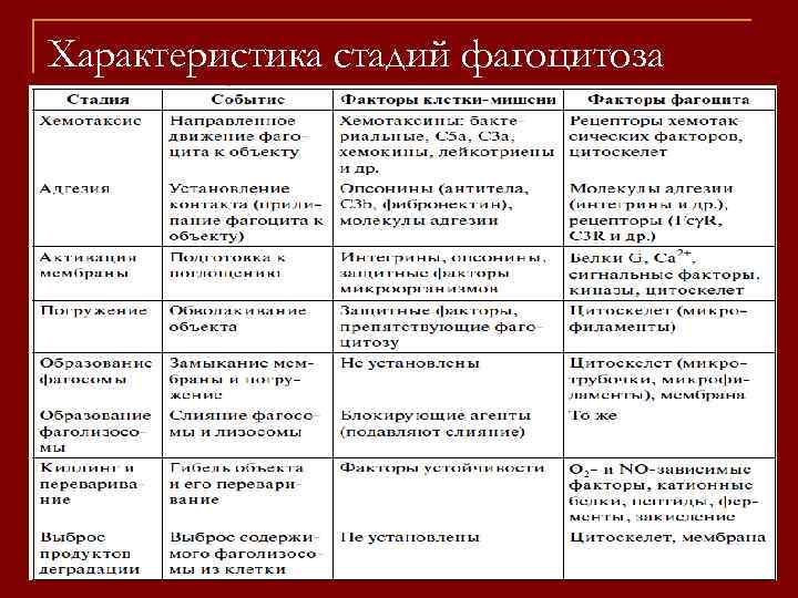 Характеристика стадий фагоцитоза 