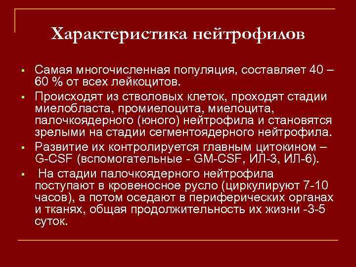 Характеристика нейтрофилов Самая многочисленная популяция, составляет 40 – 60 % от всех лейкоцитов. Происходят
