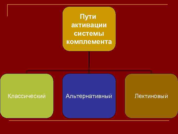 Пути активации системы комплемента Классический Альтернативный Лектиновый 