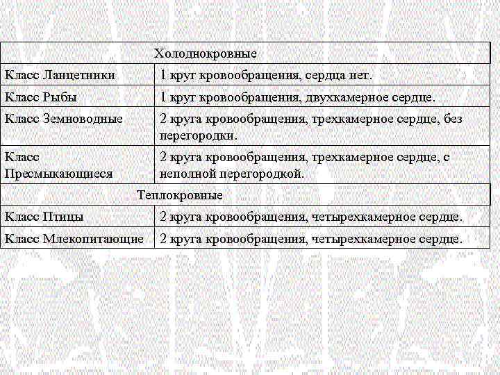 Холоднокровные Класс Ланцетники 1 круг кровообращения, сердца нет. Класс Рыбы 1 круг кровообращения, двухкамерное