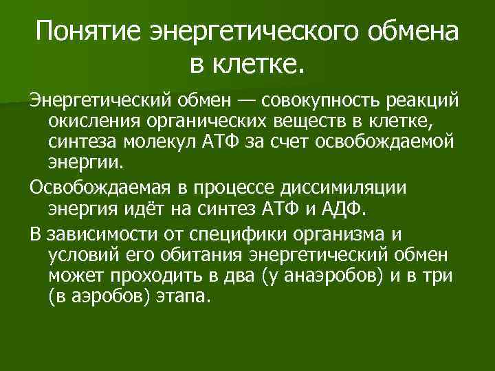 Понятие энергетического обмена в клетке. Энергетический обмен — совокупность реакций окисления органических веществ в