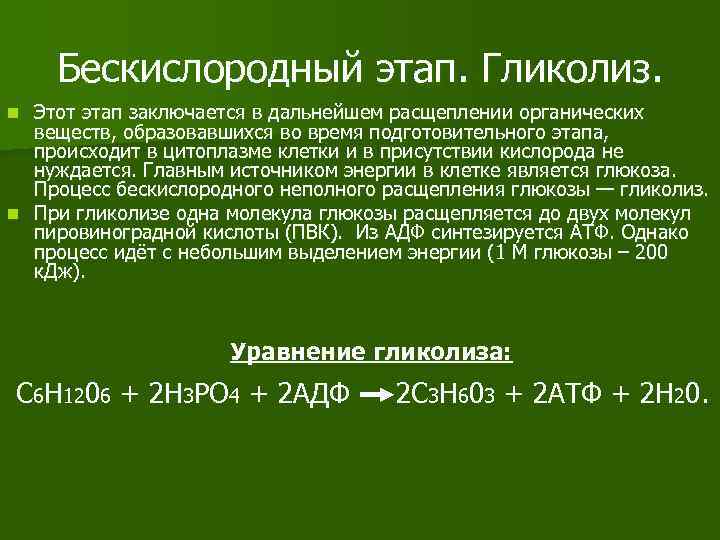Бескислородный этап. Гликолиз. Этот этап заключается в дальнейшем расщеплении органических веществ, образовавшихся во время