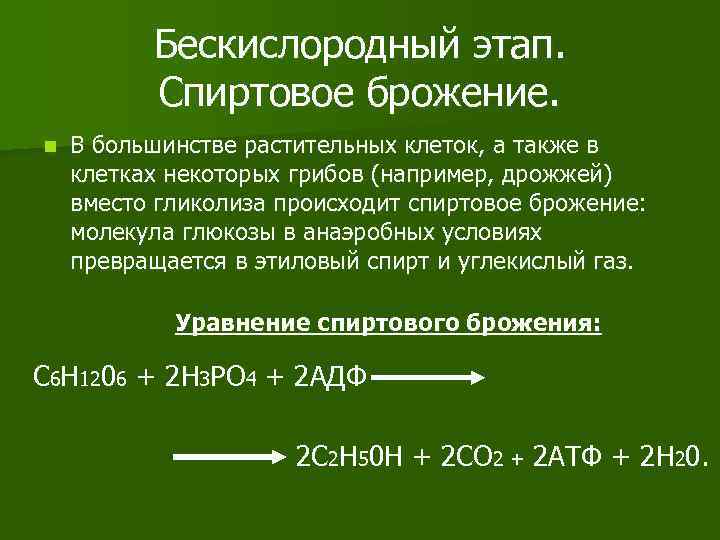 Бескислородный этап. Спиртовое брожение. n В большинстве растительных клеток, а также в клетках некоторых