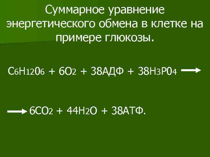 Суммарное уравнение энергетического обмена в клетке на примере глюкозы. C 6 H 1206 +