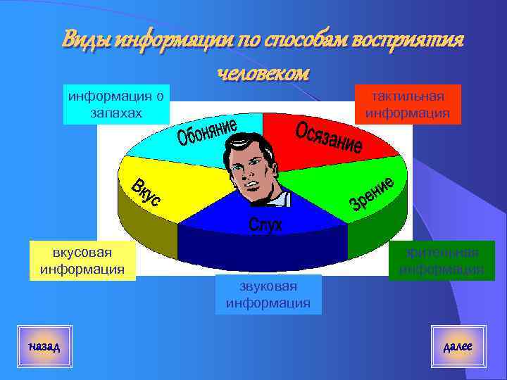Виды информации по способам восприятия человеком информация о запахах тактильная информация вкусовая информация зрительная