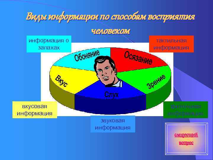 Виды информации по способам восприятия человеком информация о запахах тактильная информация вкусовая информация зрительная