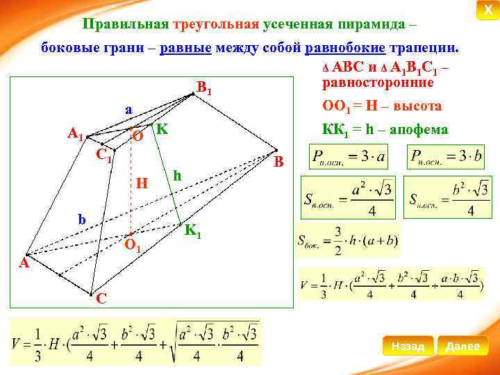 X Правильная треугольная усеченная пирамида – боковые грани – равные между собой равнобокие трапеции.
