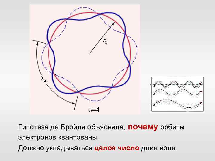 Гипотеза де Бройля объясняла, почему орбиты электронов квантованы. Должно укладываться целое число длин волн.