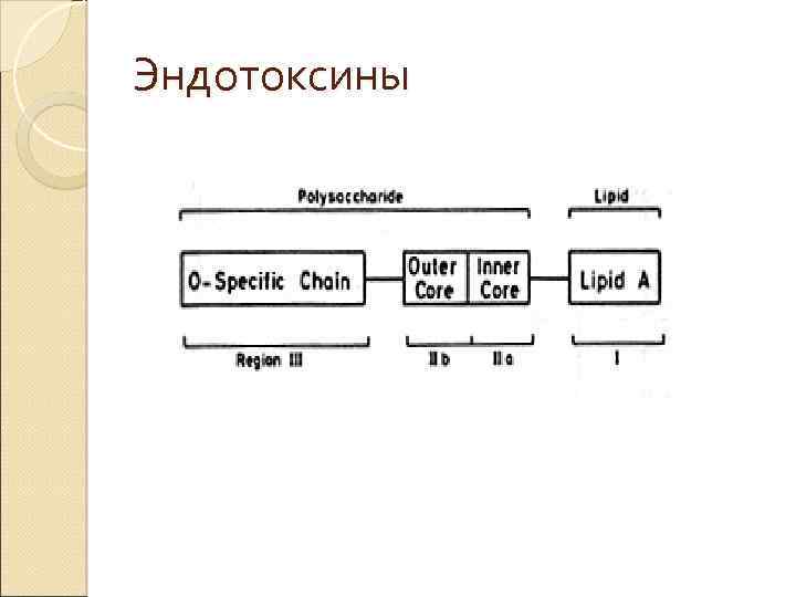 Эндотоксины 
