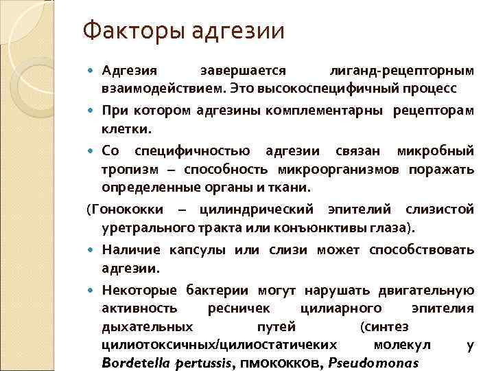 Факторы адгезии Адгезия завершается лиганд-рецепторным взаимодействием. Это высокоспецифичный процесс При котором адгезины комплементарны рецепторам