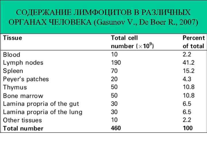 СОДЕРЖАНИЕ ЛИМФОЦИТОВ В РАЗЛИЧНЫХ ОРГАНАХ ЧЕЛОВЕКА (Gasunov V. , De Boer R. , 2007)