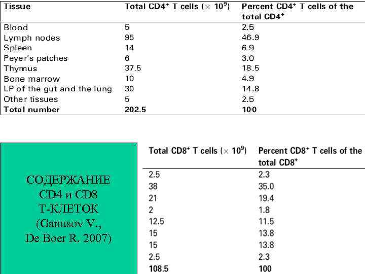СОДЕРЖАНИЕ CD 4 и CD 8 Т-КЛЕТОК (Ganusov V. , De Boer R. 2007)