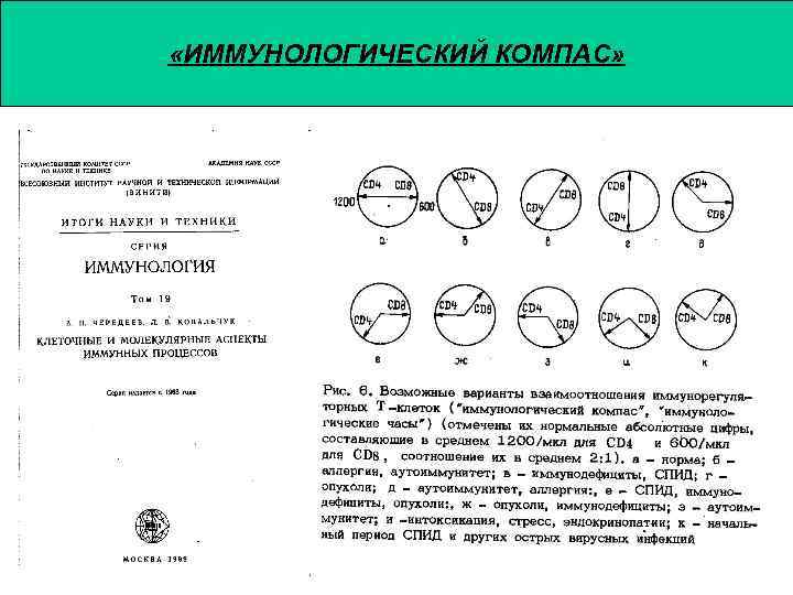  «ИММУНОЛОГИЧЕСКИЙ КОМПАС» 