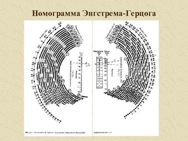 Номограмма Энгстрема-Герцога 