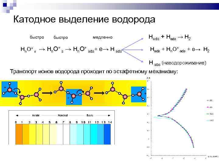 Катодное выделение водорода быстро медленно Hn. O+ v → Hn. O+ s → Hn.