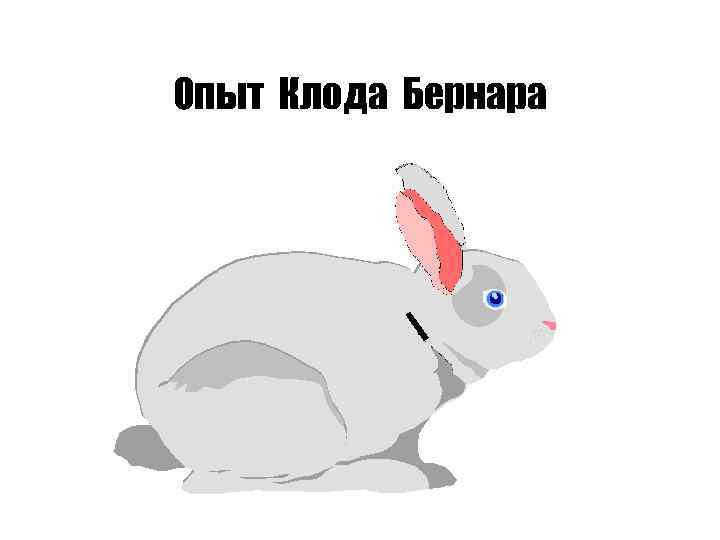 Опыт Клода Бернара 