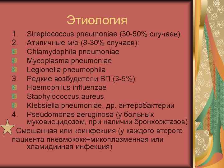 Этиология 1. 2. Streptococcus pneumoniae (30 -50% случаев) Атипичные м/o (8 -30% случаев): Chlamydophila