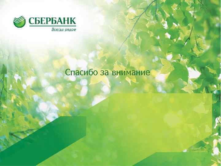 Спасибо за внимание 