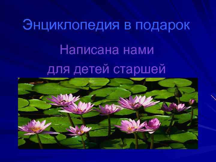 Энциклопедия в подарок Написана нами для детей старшей группы 