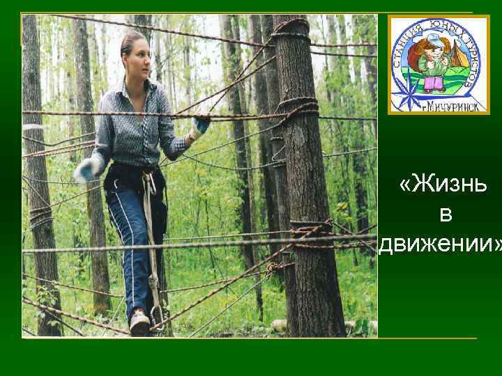  «Жизнь в движении» 