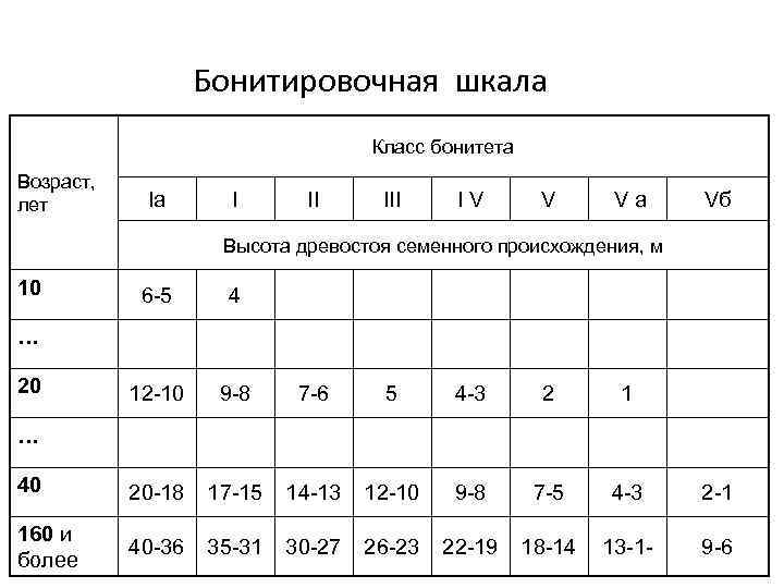 Приложение бонитет