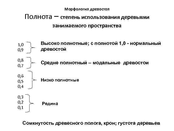 Полнота древостоя это