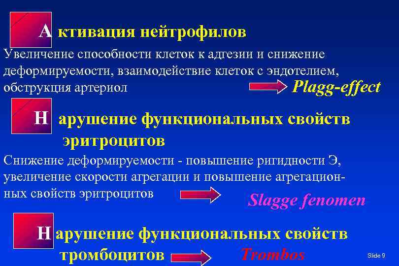 А ктивация нейтрофилов Увеличение способности клеток к адгезии и снижение деформируемости, взаимодействие клеток с