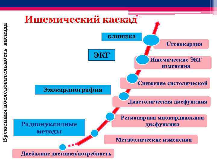 Временная последовательность каскада Ишемический каскад клиника Стенокардия ЭКГ Эхокардиография Ишемические ЭКГ изменения Снижение систолической