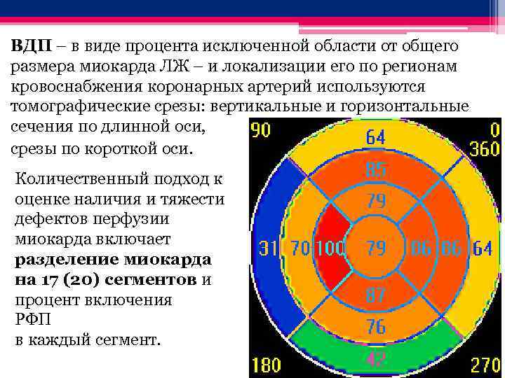 ВДП – в виде процента исключенной области от общего размера миокарда ЛЖ – и