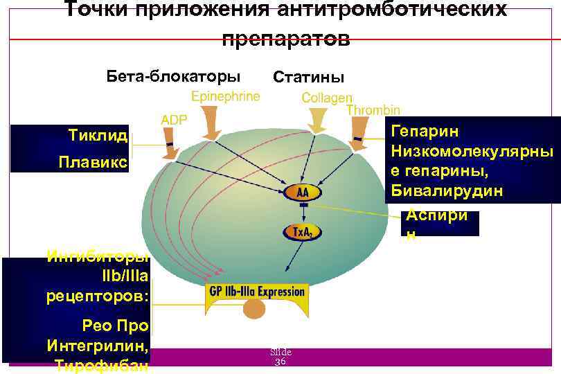 Точки приложения антитромботических препаратов Бета-блокаторы Статины Гепарин Низкомолекулярны е гепарины, Бивалирудин Аспири н Тиклид
