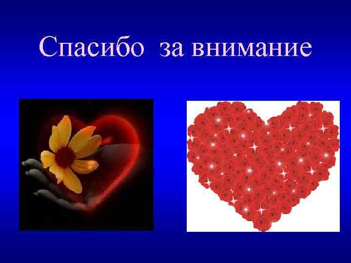 Спасибо за внимание 