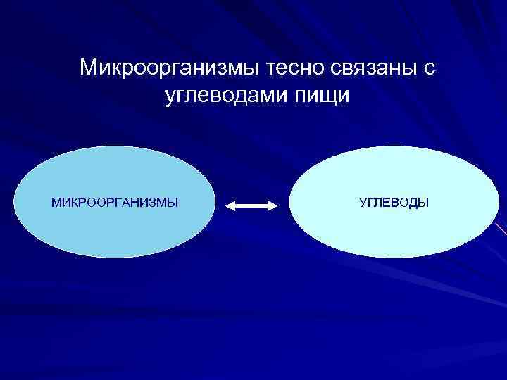 Микроорганизмы тесно связаны с углеводами пищи МИКРООРГАНИЗМЫ УГЛЕВОДЫ 