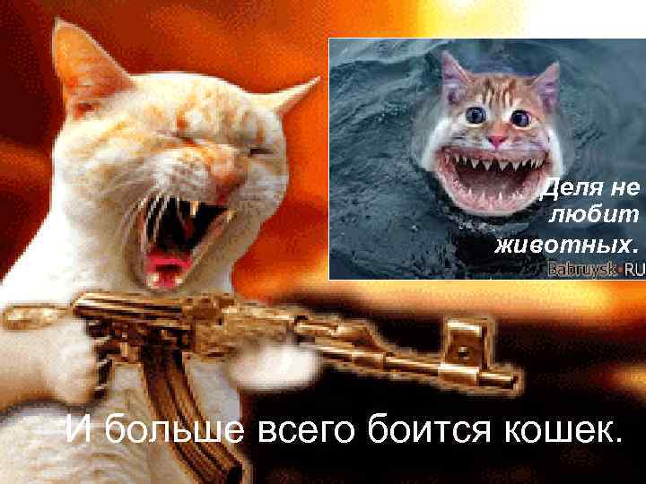 Деля не любит животных. И больше всего боится кошек. 