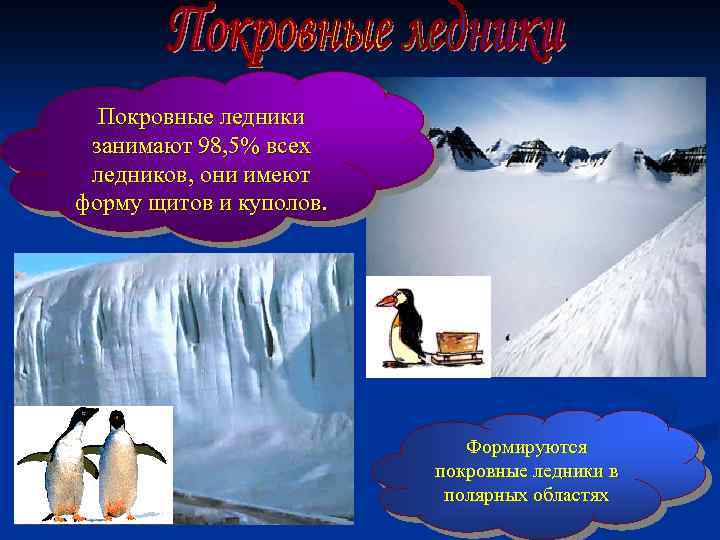 Покровные ледники занимают 98, 5% всех ледников, они имеют форму щитов и куполов. Формируются