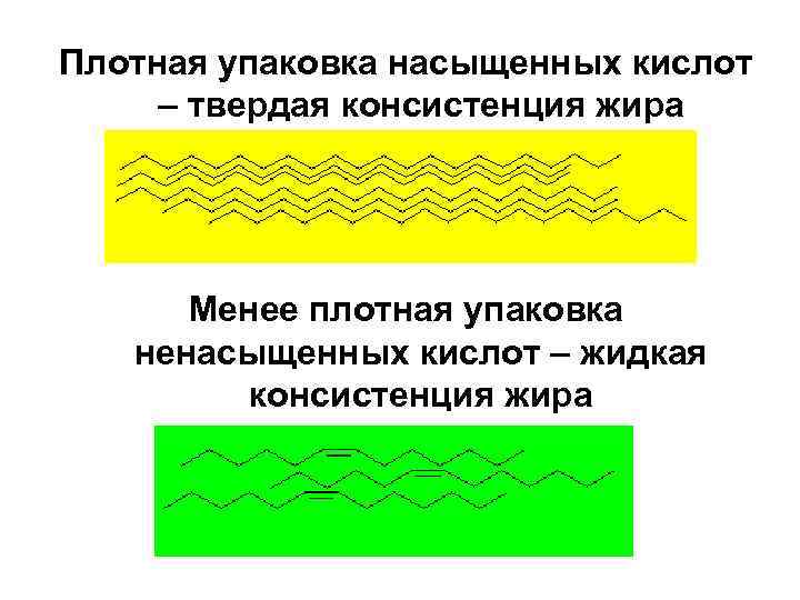 Плотная упаковка насыщенных кислот – твердая консистенция жира Менее плотная упаковка ненасыщенных кислот –